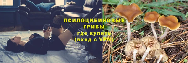 спайс Абдулино