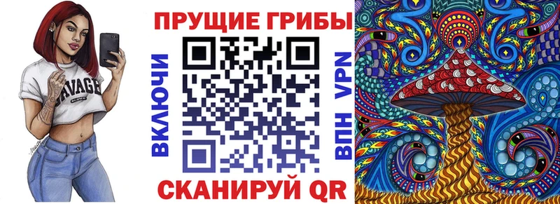даркнет сайт  Химки  KRAKEN зеркало  Псилоцибиновые грибы мухоморы 