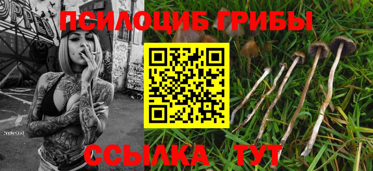 Галлюциногенные грибы прущие грибы  Вход с VPN  Химки 