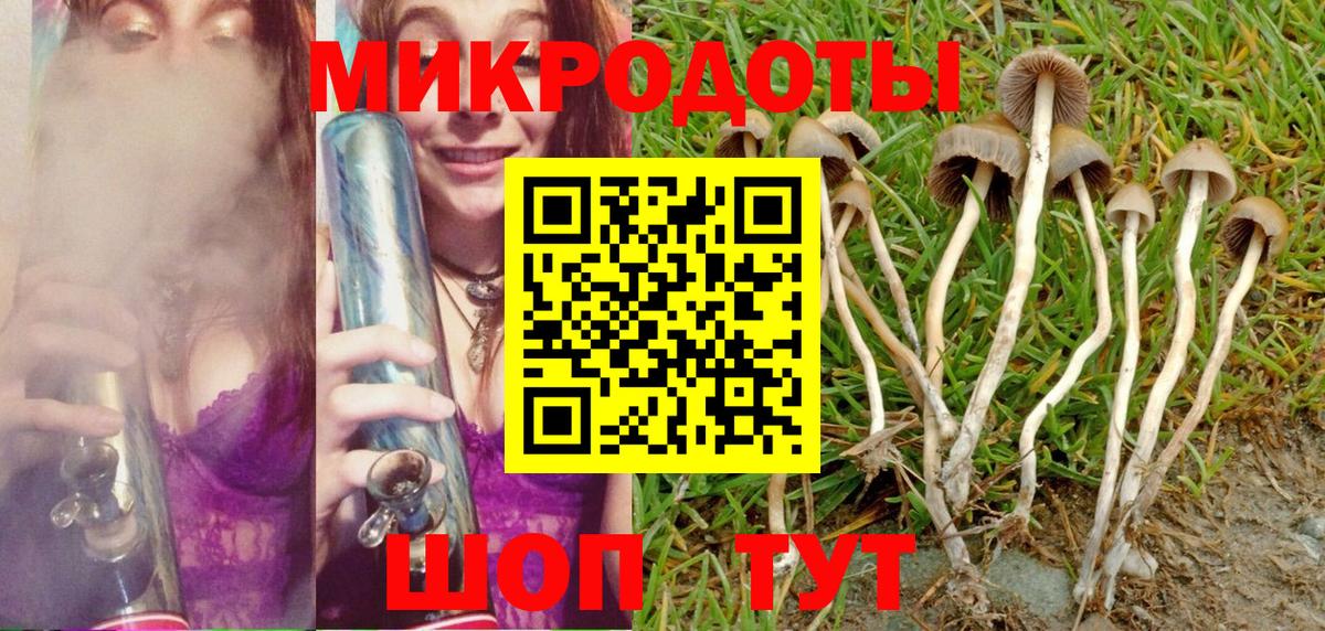Галлюциногенные грибы Magic Shrooms Химки